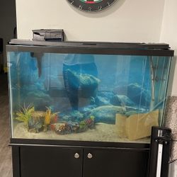 Fish Tank And  Stand 