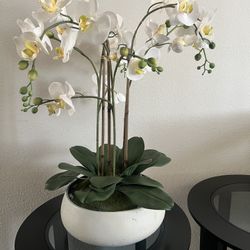 Orchids Plant Faux