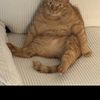 Alan