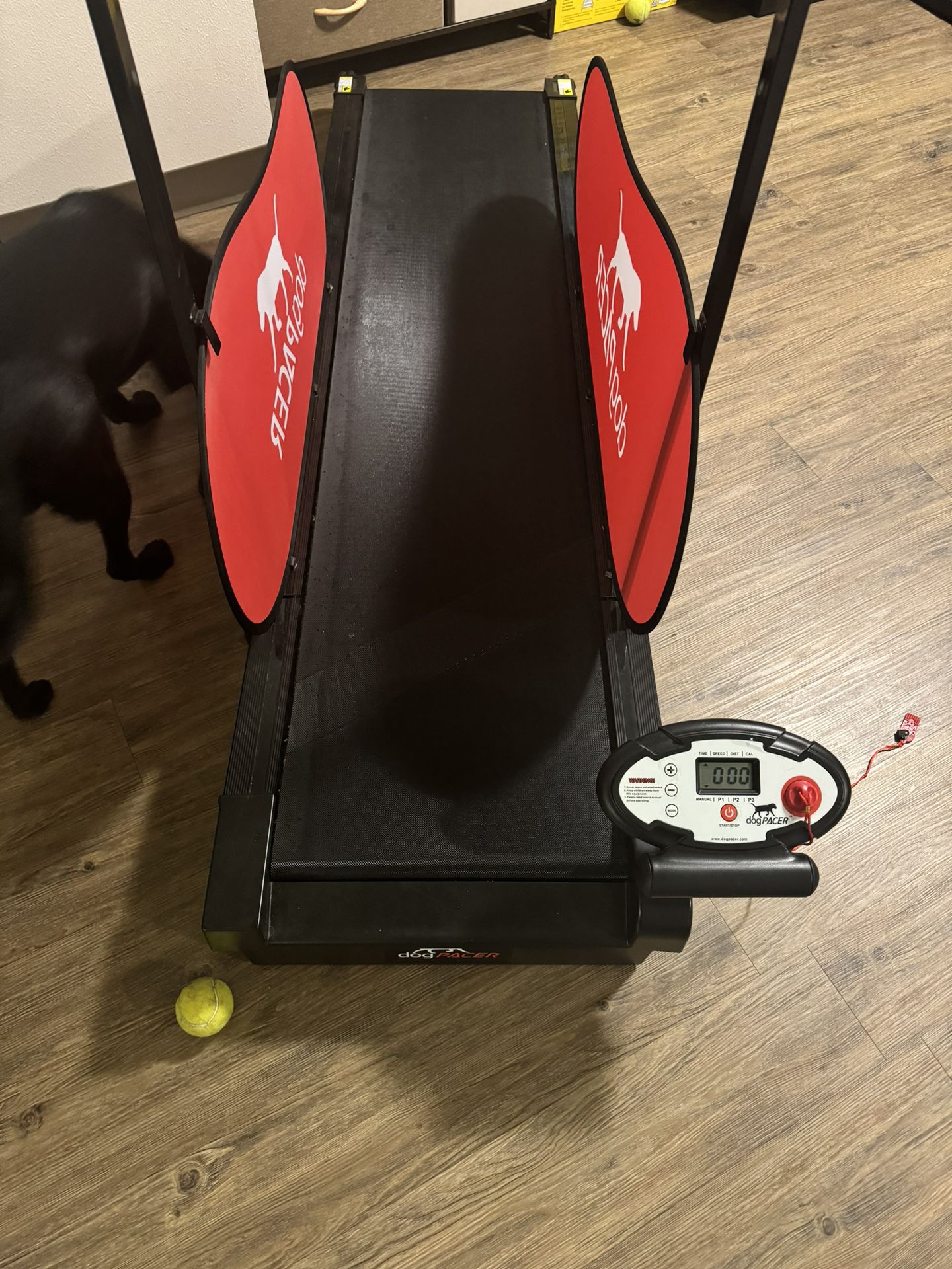 Dog Treadmill/pacer 3.1