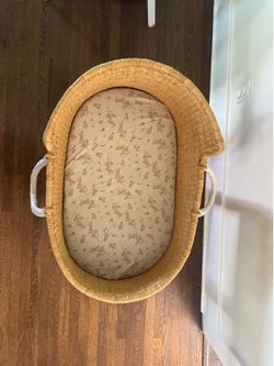 Moses basket