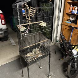 Bird Cage