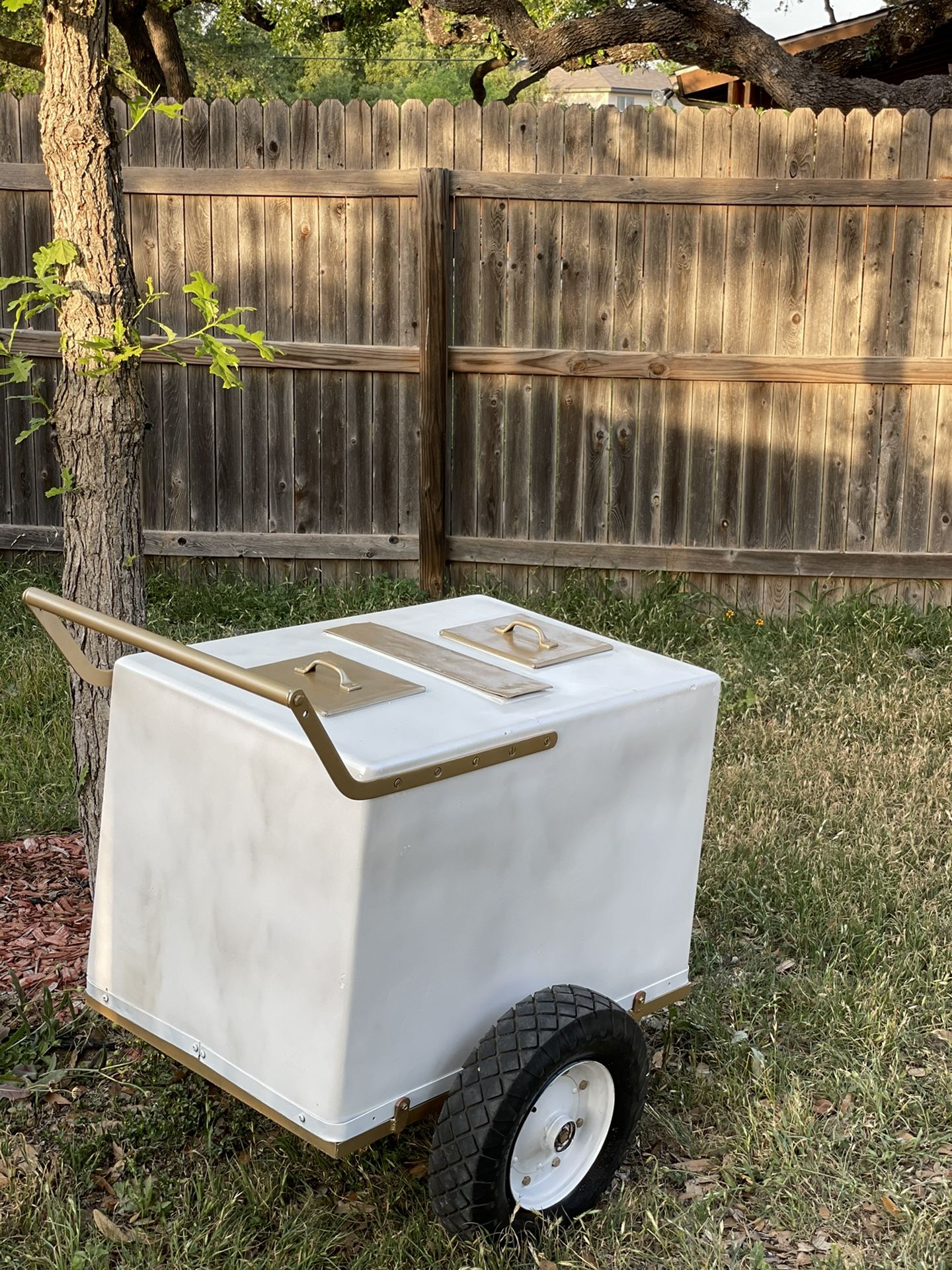 PENDING Pick up -Ice Cream Push Cart/ Paleta Cart