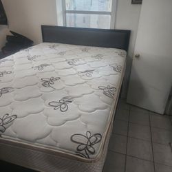 Queen Matress 