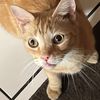 NicolasIsntWild