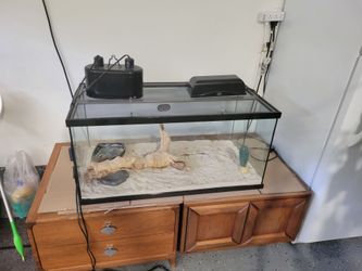 Terrarium for reptiles with lamps