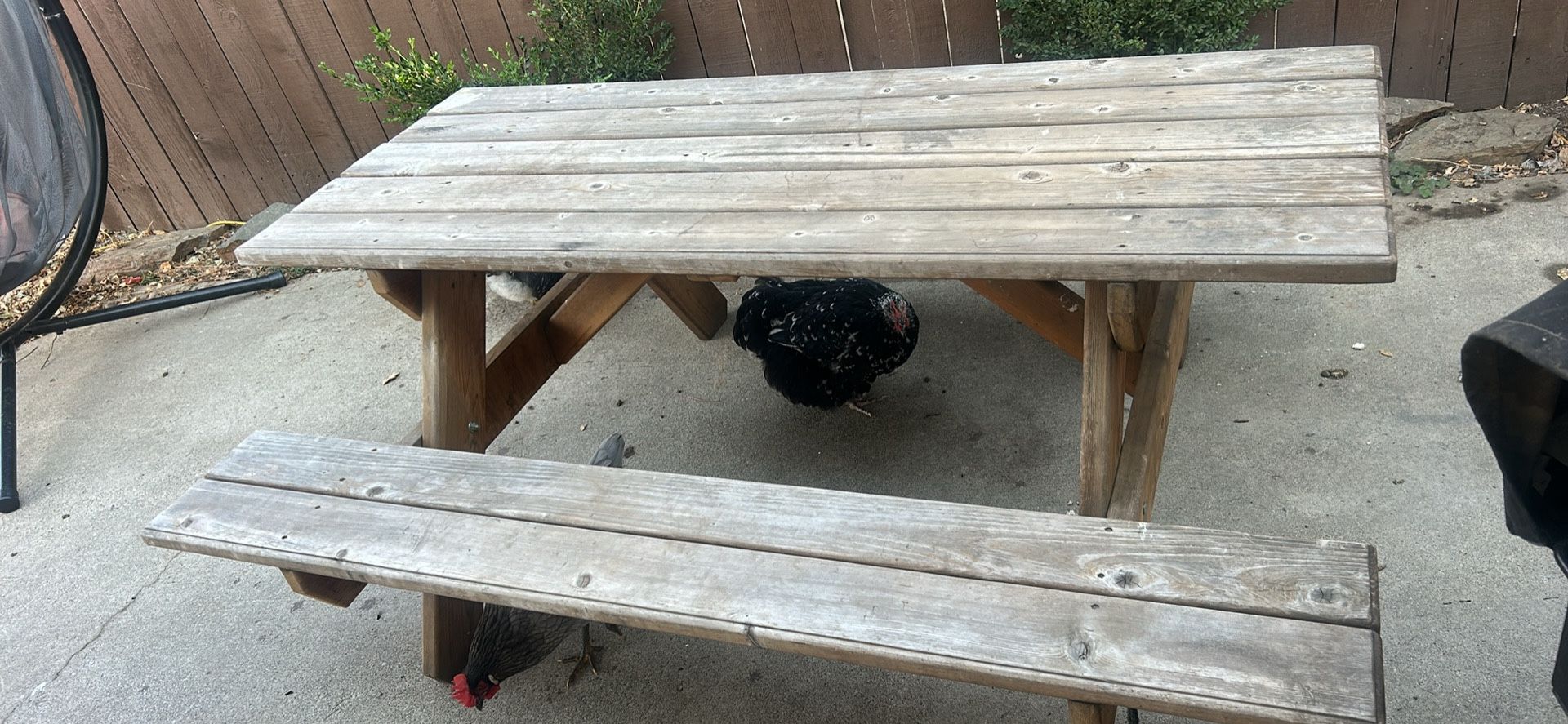 Patio Picnic Table