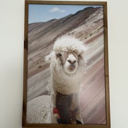 Llama Wall Art