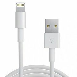 Apple oem chargers