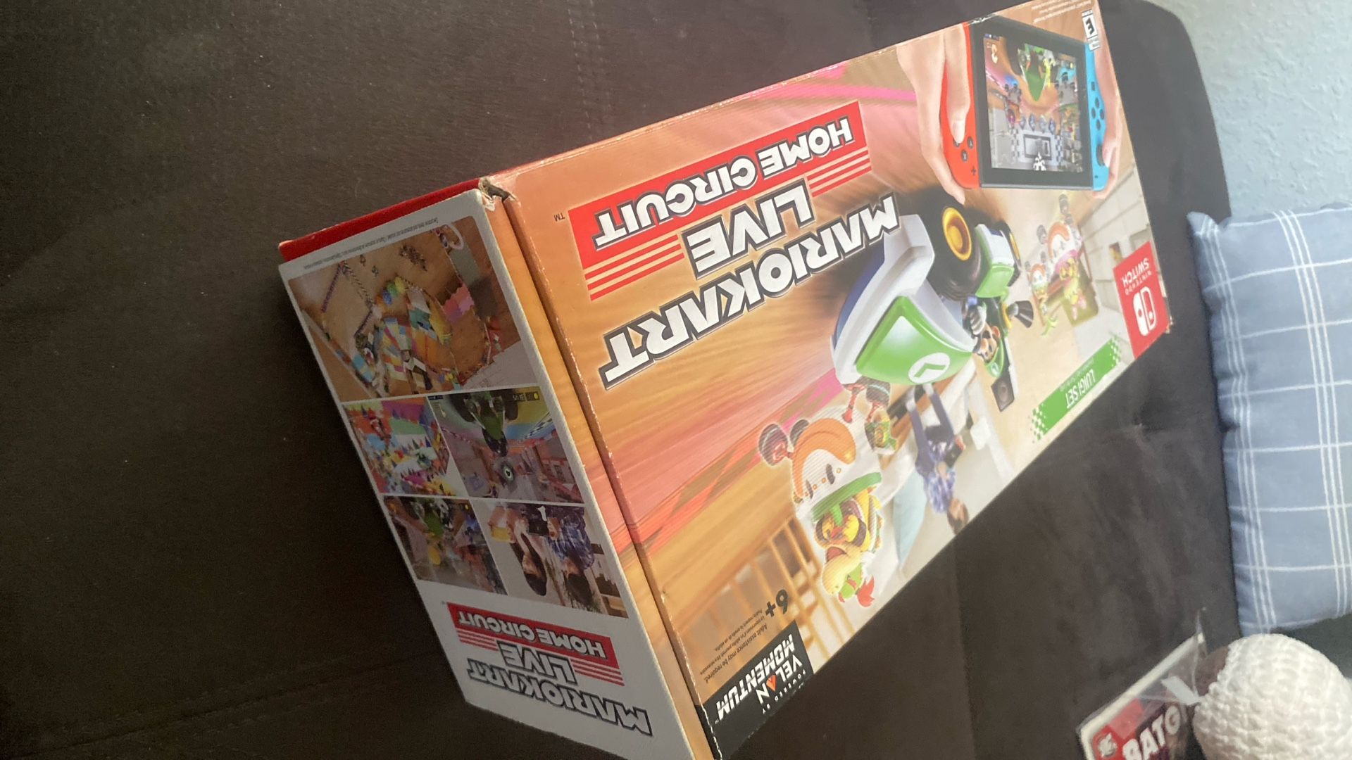 Mariokart Live Home Circuit Luigi