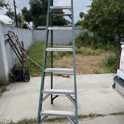 8’ Werner ladder 