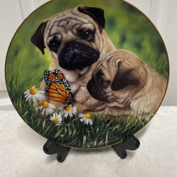 Danbury Mint Collectible Plate-Pug Eyed Pug Dog