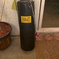 Everlast Boxing Bag