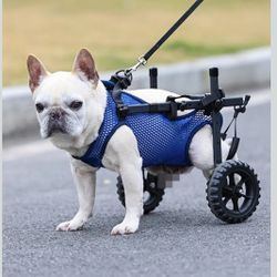 Adjustable Small Dog Wheelchair for Back Legs, Upgraded 5.5in Textured Wheel, Disabled Pets, Leg Brace, Mobility Aid for Small Pets, Hind Limb Rehabil