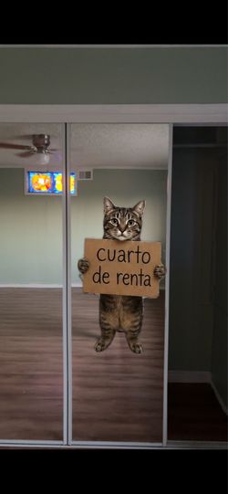 Recámaras de alquiler