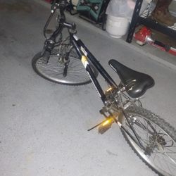 Road Master Mountain Bike 