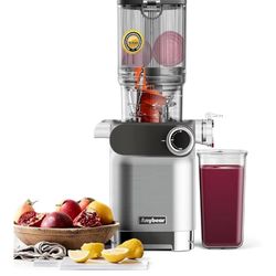 Cold Press Juicer (Silver)