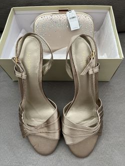Formal Ladies Shoes And Purse