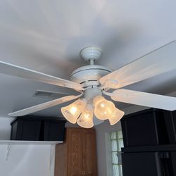 Ceiling Fan (x2)