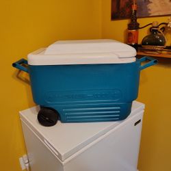 Cooler