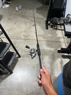 Daiwa Laguna with Daiwa Procyon