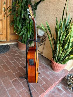 guitar acoustic& electric classical