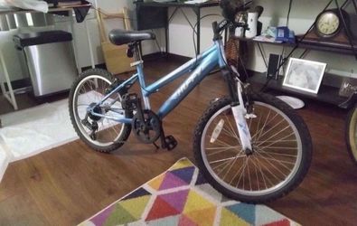 Mountain bike