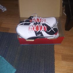 so horijinales pumas 