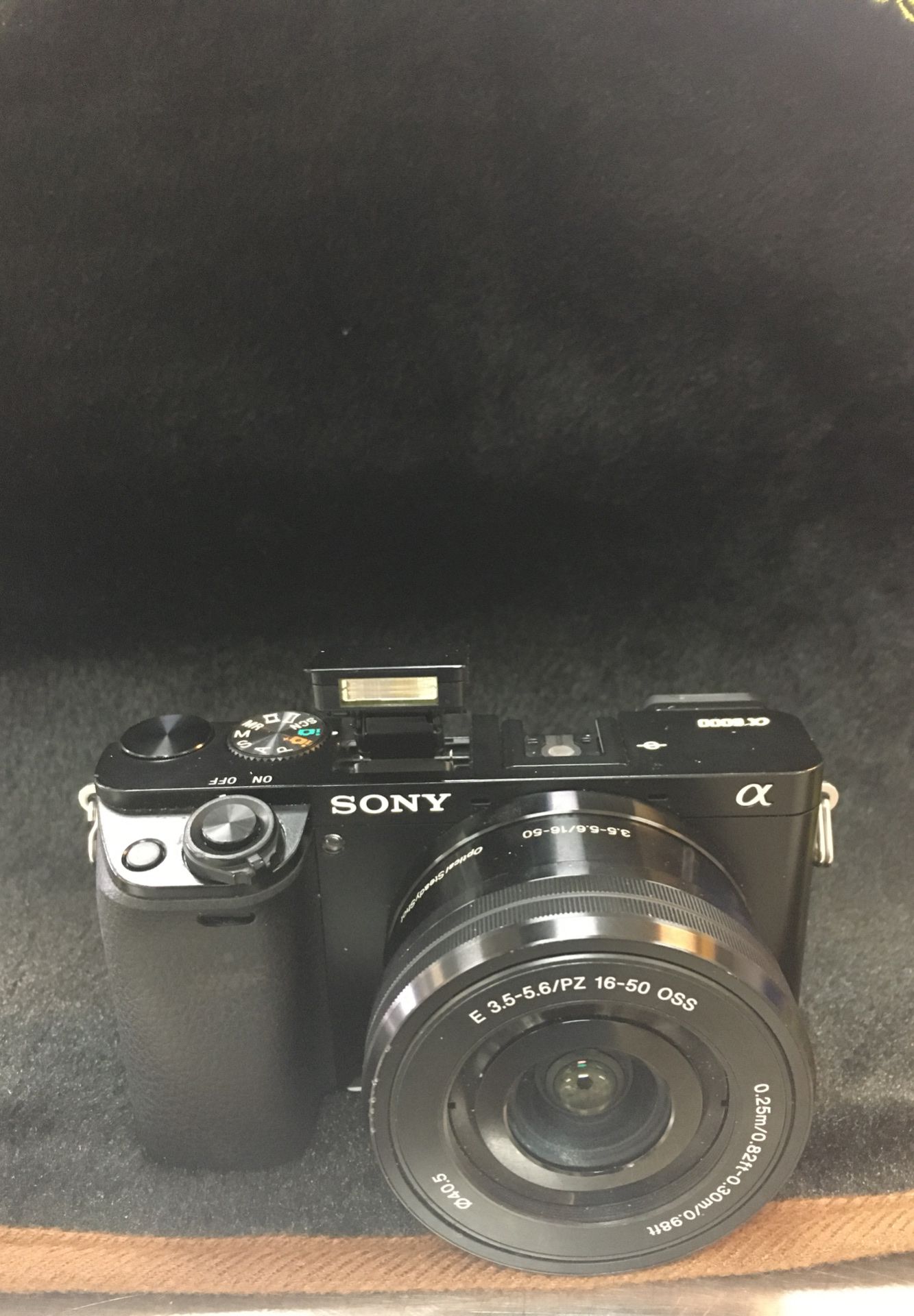 Sony ILCE 600 Digital Camera