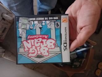 Big Brain Nintendo DS Cart