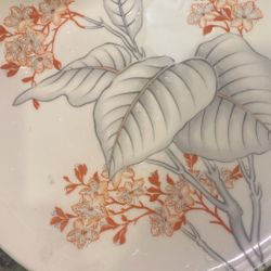 Antique Castleton  China set