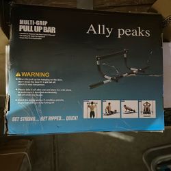 Pull Up bar