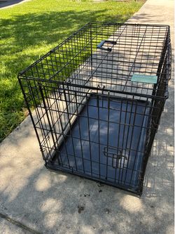 Pet Crate carrier
