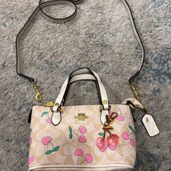 Coach Womens Purse