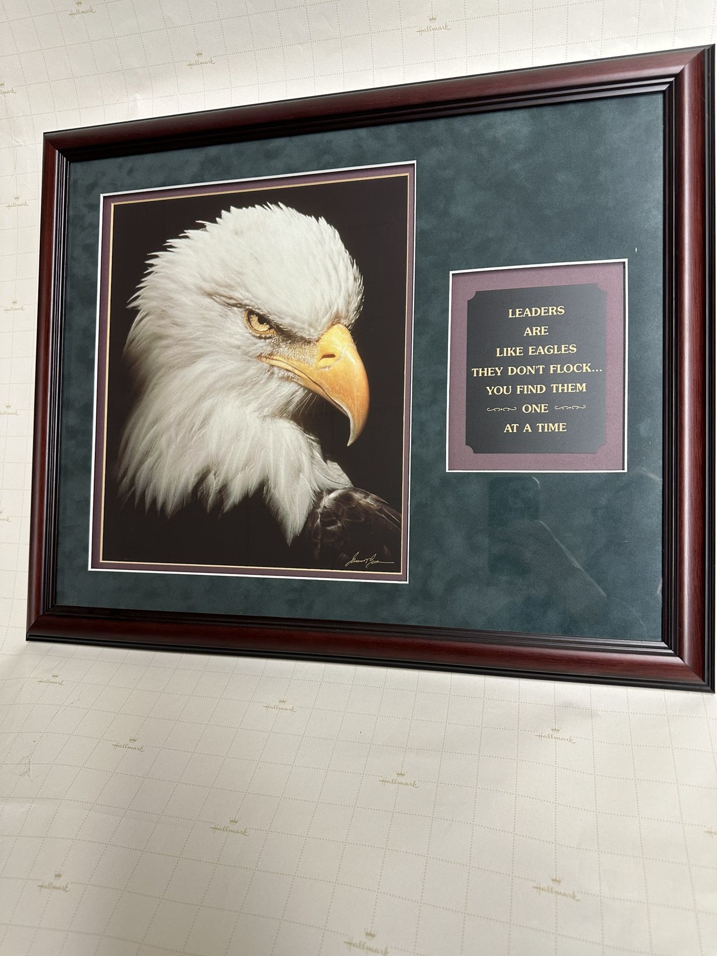 Framed Bald Eagle Photography / Leadership quote