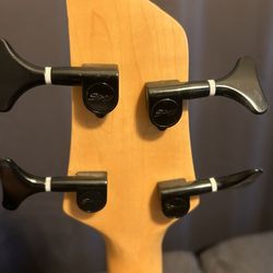 Vintage Left-Handed Bass Guitar Tuned Professionally At Milano’s Music, Mesa