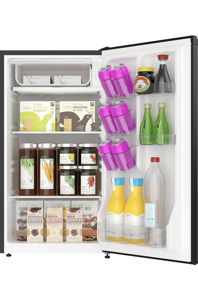 Mini Fridge with Freezer