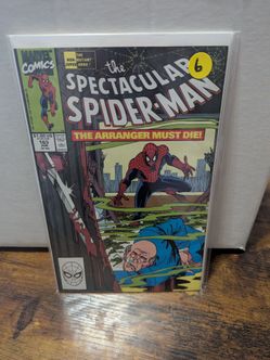 The Spectacular Spider-Man #165 Marvel Comic