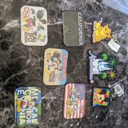 Disney Magnets And Keychains 