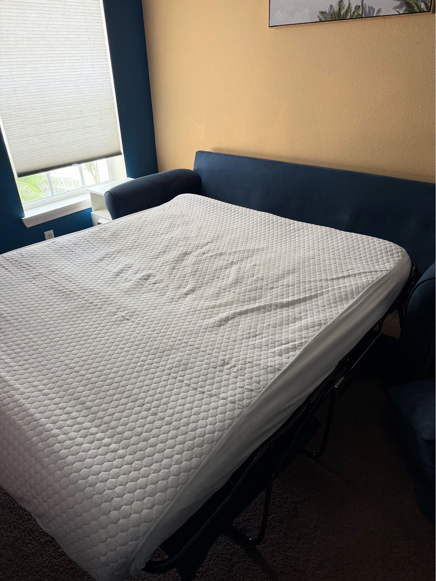 Sleeper Sofa