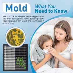 Mold Test Kit for Home - 4 Simple Detection Tests