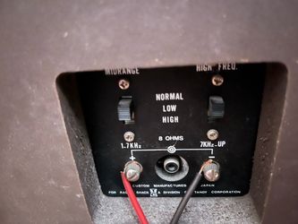 Vintage Realistic Speakers 40-2006