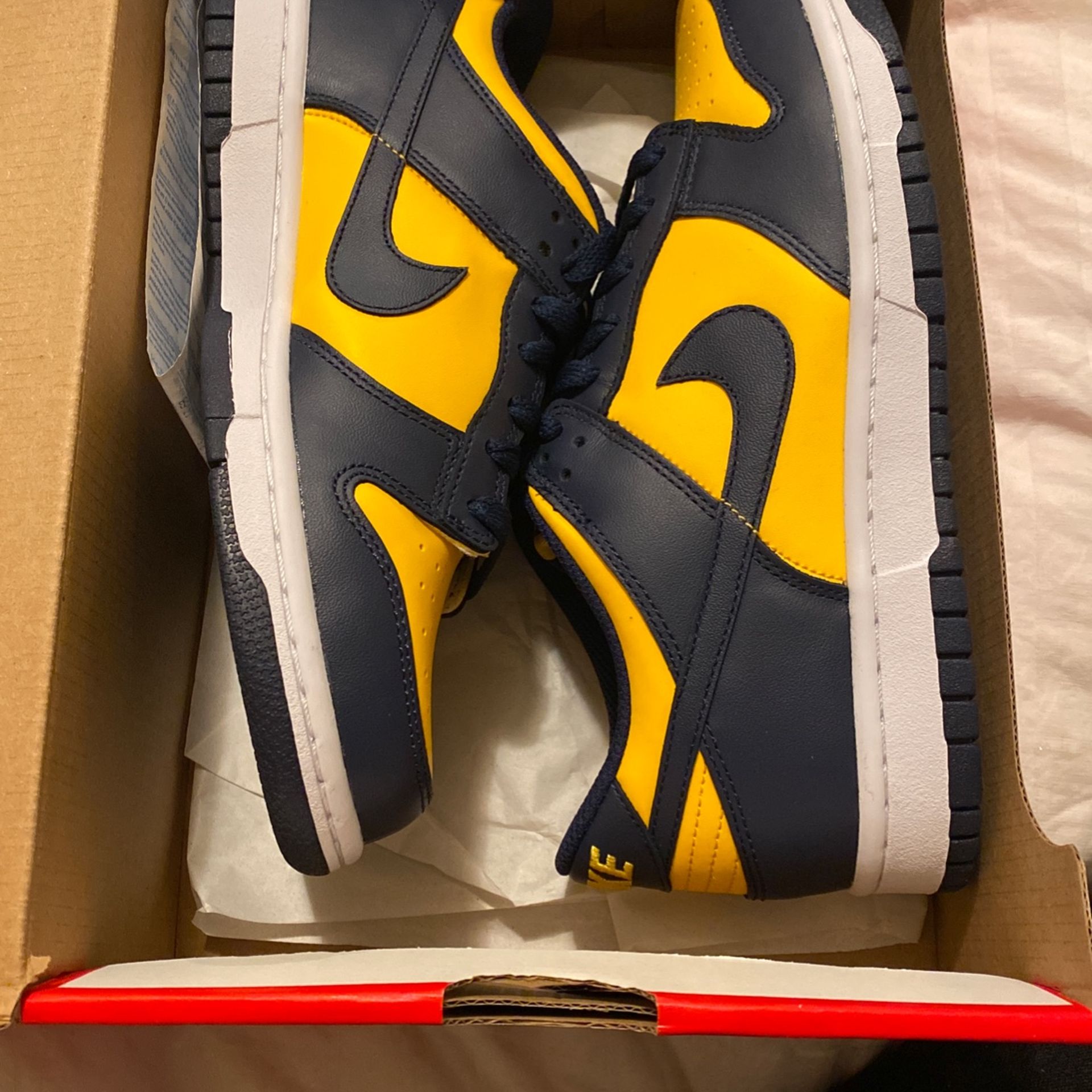 Nike Dunk Low Michigan
