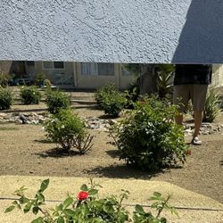 Two Bathroom Mirrors (68" x 36")