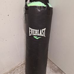 Everlast Punching Bag