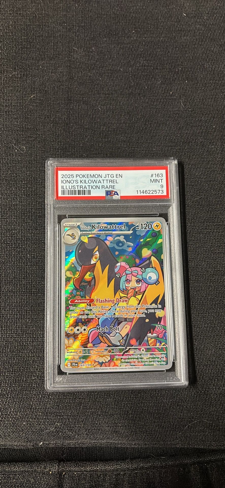 Iono’s Kilowattrel