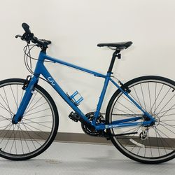 Beautiful Bicycle Giant Liv 