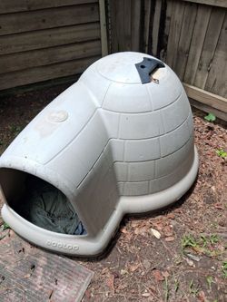Igloo doghouse