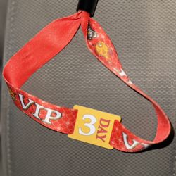 SummerSmash 2025 SATURDAY/ SUNDAY VIP PORTION MUST MEET AT FRONT ENTRANCE! $250
