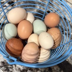Eggs For Sale 